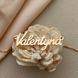 Кольє срібне позолочене з підвіскою іменем Valentyna на тонкому ланцюжку